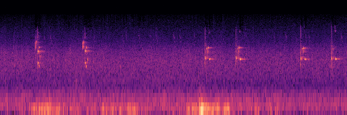 Spectrogram: Common Raven excellent 'water droplet' calls